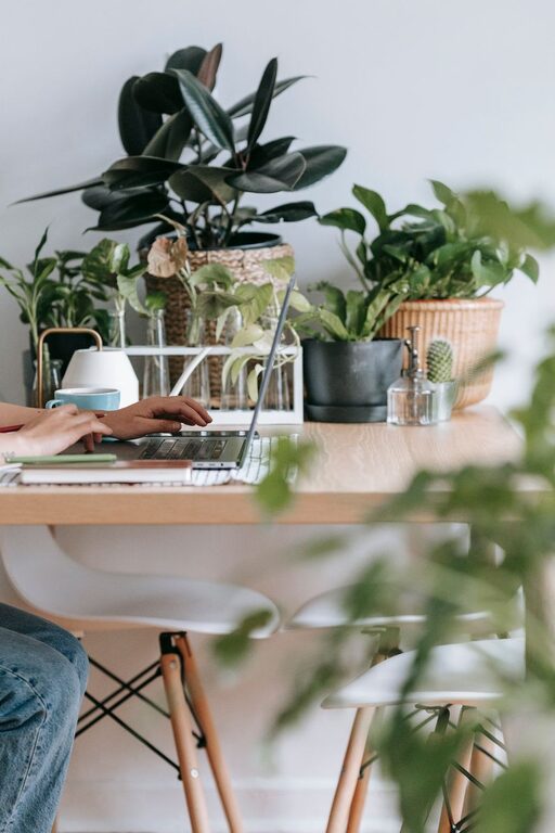 Tips for Creating a Cozy and Functional Home Office Space